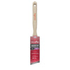 Wooster Silver Tip 1-1/2 in. Soft Angle Paint Brush - Deal of The Week