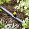 Raindrip Spot Drip Irrigation Dripper 4 gph 10 pk