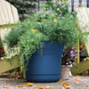 Bloem Saturn 7 in. D Plastic Planter Blue