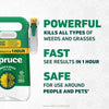 Spruce Snap & Spray Manual Trigger Weed and Grass Killer RTU Liquid 64 oz