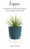 Bloem Hopson 8 in. H X 6 in. W X 6 in. D Metal/Plastic Planter with Stand Casper White - Deal of The Week