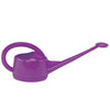 Dramm Assorted 2 L Plastic Watering Can (Pack of 6)