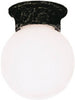 Westinghouse Gloss Black Incandescent Light Fixture
