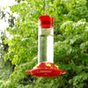 Perky-Pet Hummingbird 30 oz Glass/Plastic Nectar Feeder 6 ports (Pack of 2).
