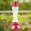 Perky-Pet Hummingbird 20 oz Glass/Plastic Pinch-Waist Nectar Bird Feeder 6 ports (Pack of 2)