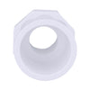 Charlotte Pipe Schedule 40 3/4 in. Slip x 1/2 in. Dia. FPT PVC Pipe Adapter (Pack of 25)