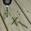 Deck Plus No. 10  x 2-1/2 in. L Star Flat Head Exterior Deck Screws 25 lb.