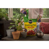 Miracle-Gro Flower and Plant Potting Mix 16 qt