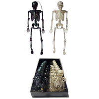 Fun World Skeleton Halloween Decor (Pack of 12)