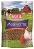 Kaytee Mealworms Wild Bird/Poultry Dried Mealworm Mealworms 32 oz