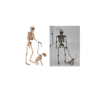 Fun World 14 in. Skeleton Walker Asst Halloween Decor (Pack of 12)