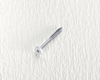 Starborn Deckfast No. 9 X 1-7/8 in. L White Star Pan Head Fascia Screws 100 pk - Open Box