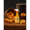 Howard Ors016 16 Oz Orange Oil Wood Polish Spray  (Pack Of 6)