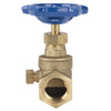 Homewerks 1/2 in. FIP X 1/2 in. FIP Brass Stop and Waste Valve