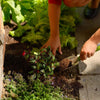 Pro-Mix Flower and Plant Potting Mix 36 lb
