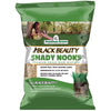 Black Beauty® Shady Nooks Grass Seed 25 Lb - Deal of The Week