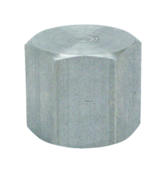 Anvil 1/8 in. FPT Malleable Iron Cap