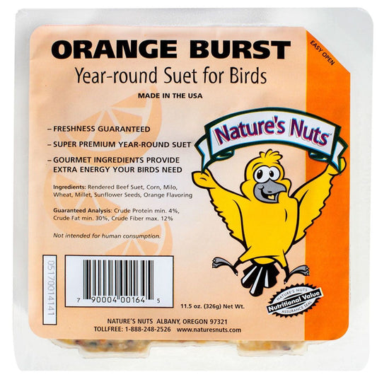 Natures Nuts 00164 11.5 Oz Orange Burst Suet (Pack of 12)