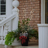 Celebrations LED Warm White Lighted Branches 38 in. Yard Decor (Pack of 6)