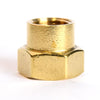Brass 3/4 in. D X 1/2 in. D Hose Adapter 1 pk (Pack of 5)