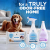 Pooph Pets Liquid Odor & Stain Eliminator 20 oz (Pack of 6)