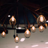 Feit ST19 E26 (Medium) Filament LED Bulb Warm Amber 60 Watt Equivalence 2 pk - Deal of The Week