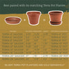 Bloem 2.8 in. H X 17 in. W X 17 in. D Resin Traditional Tray Terracotta Clay