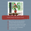 Bloem Ariana 5.25 in. H X 6.5 in. W X 6 in. D Resin Traditional Planter Burnt Red - Deal of The Week