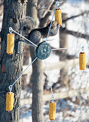 Squirrel-Go-Round Cob Corn Feeder