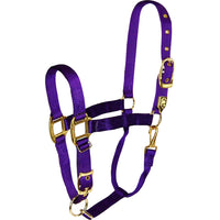 Hamilton Adjustable Chin Halter W/Snap