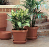 Bloem 2.8 in. H X 17 in. W X 17 in. D Resin Traditional Tray Terracotta Clay