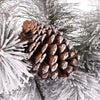 Celebrations Home 12 in. D X 108 ft. L LED Prelit Multicolored Snowy Scotch Pine Garland (Pack of 4)