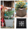 Bloem Veranda 14.3 in. H X 18 in. W X 18 in. D Plastic Planter Box Charcoal