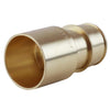Apollo PEX-A 3/4 in. Expansion PEX in to T X 3/4 in. D Female Sweat  Brass Adapter (Pack of 25)