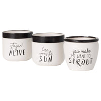 Sullivans Black/White Ceramic 4.5 in. H Fun Text Planter Set