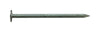 Pro-Fit 1 in. Roofing Electro-Galvanized Nail Large Head 1 lb