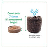 Jiffy 50 Cells 11 in. W X 22 in. L Seed Starting Kit 1 pk