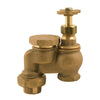 Champion Brass 150 PSI Adjustable Anti-Siphon Valve 1 in. Inlet