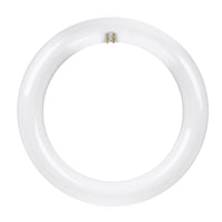 Feit Plug & Play T9 Cool White 8 in. G10Q Circular LED Bulb 22 Watt Equivalence 1 pk