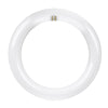 Feit Plug & Play T9 Cool White 8 in. G10Q Circular LED Bulb 22 Watt Equivalence 1 pk