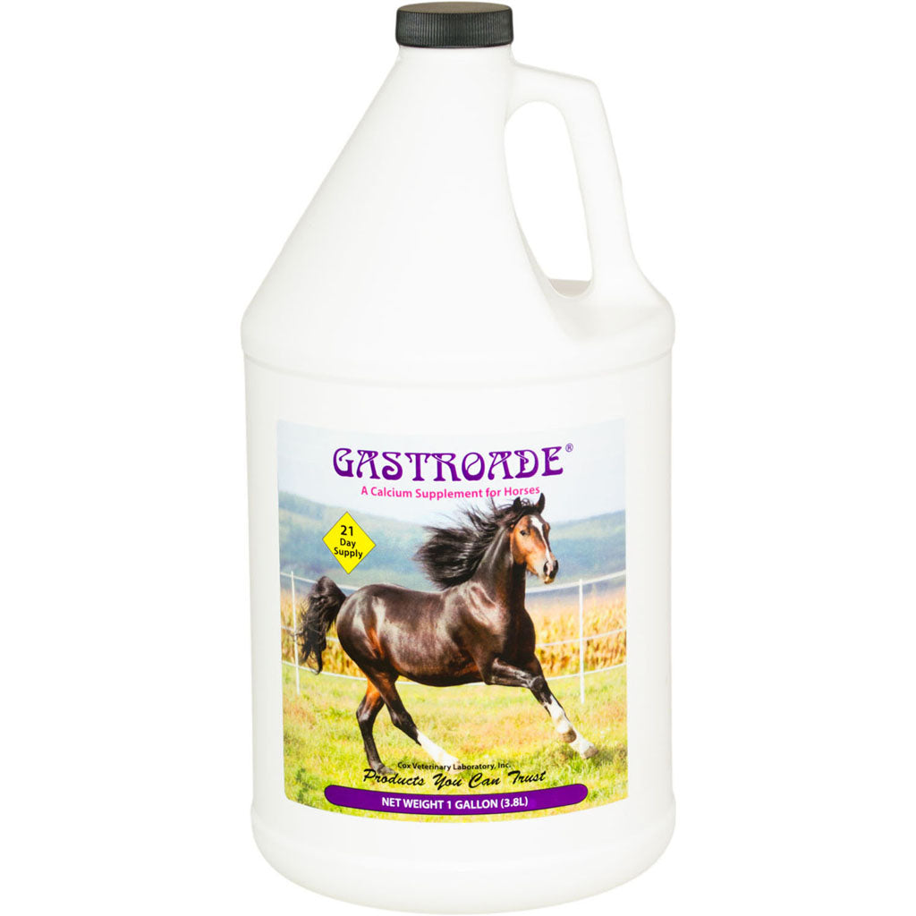 Cox Gastroade Calcium Supplement - 091037361837 | Max Warehouse