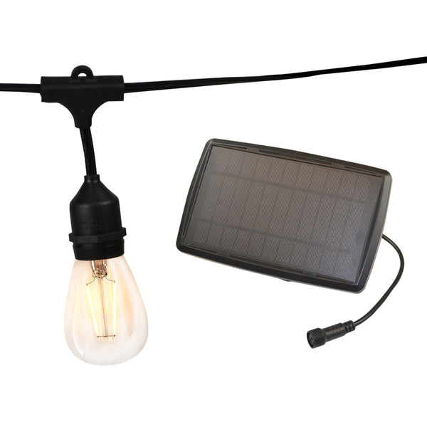 Juego de luces LED vintage Living Accents, blanco cálido, 20 pies, 10 luces