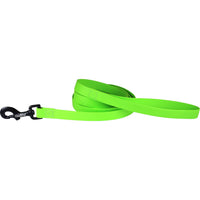 Carnival Biothane Dog Lead