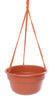 Bloem 6.8 in. H X 12.4 in. D Resin Dura Cotta Hanging Basket Terracotta Clay