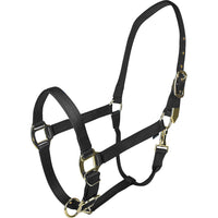 Gatsby Gold Adjustable Halter W/ Snap