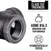 STZ Industries 3/8 in. FIP each X 3/8 in. D FIP Black Malleable Iron Union