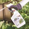 Bonide Captain Jacks Neem Oil Organic Fungicide/Insecticide/Miticide Liquid 32 oz (Pack of 6)