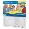 AAF Flanders NaturalAire 20 in. W x 20 in. H x 1 in. D Polyester Synthetic Pleated Air Filter (Pack of 12)