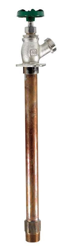 Arrowhead 3/4 in. MHT X 3/4 in. MIP Brass Wall Hydrant