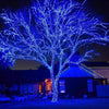 Celebrations Platinum LED T5 Blue 50 ct String Christmas Lights 25 ft.
